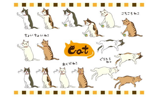 ねこのセット